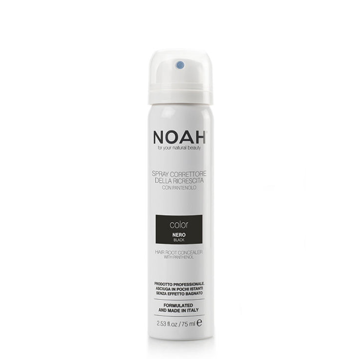 Hair Root Touch-Up Spray Black