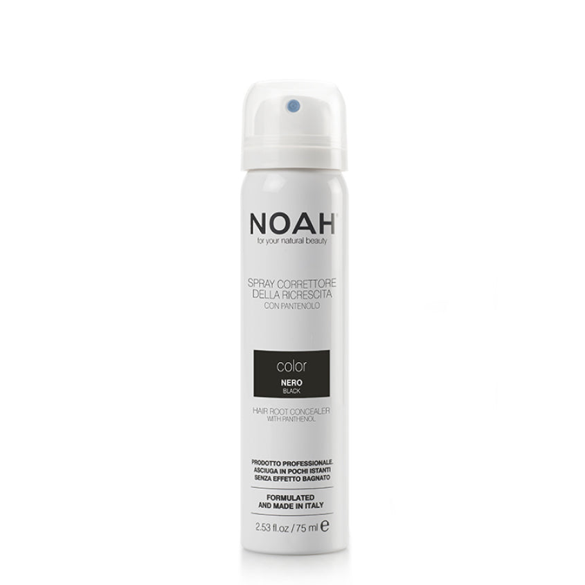 Hair Root Touch-Up Spray Black
