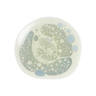 Peptide Fix Finishing Oil 2%