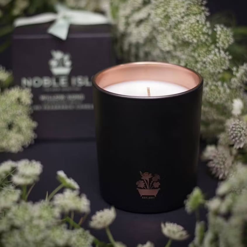 NOBLE ISLE WILLOW SONG 1-WICK CANDLE 200G – شراء أونلاين