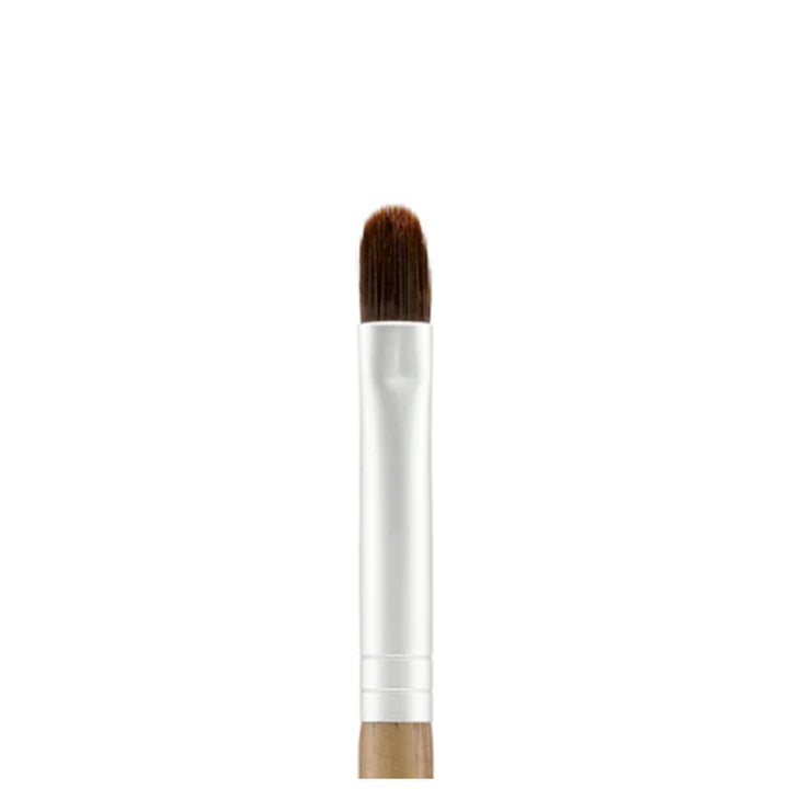 Beauty Tool Lip And Concealer Brush