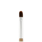 Beauty Tool Lip And Concealer Brush
