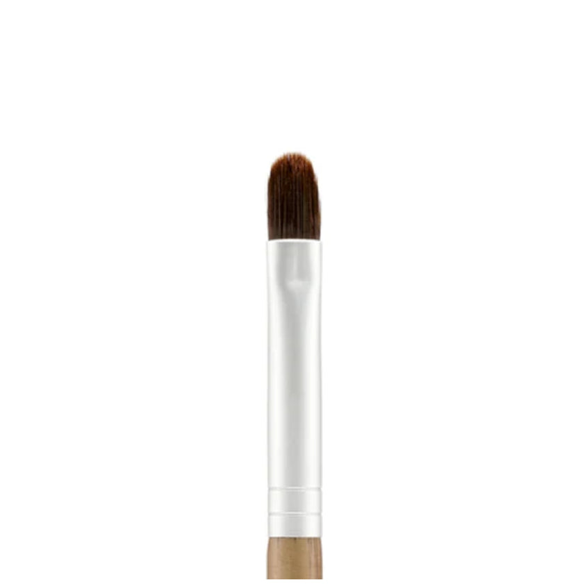 Beauty Tool Lip And Concealer Brush