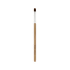 Beauty Tool Lip And Concealer Brush