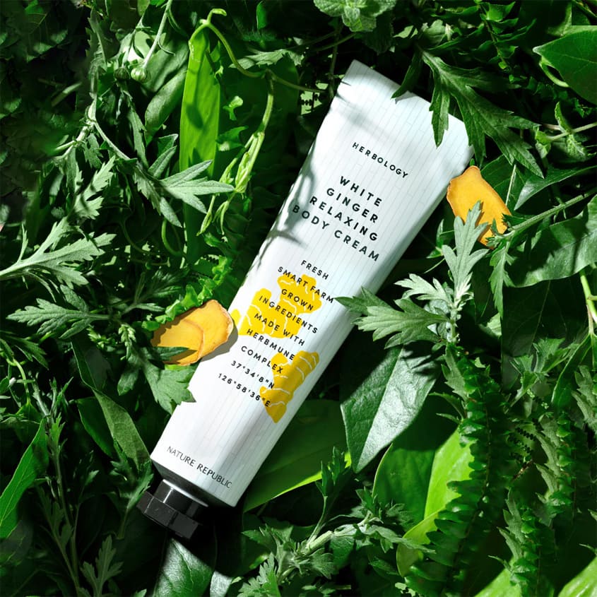 NATURE REPUBLIC HERBOLOGY WHITE GINGER RELAXING BODY CREAM 70ML – توصيل مجاني