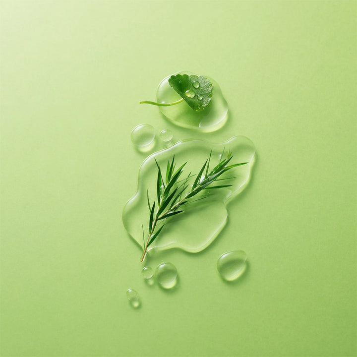Facial skin care GREEN DERMA TEA TREE CICA BIG TONER 500ML