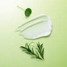 NATURE REPUBLIC GREEN DERMA TEA TREE CICA SOOTHING CREAM 100ML – buy online