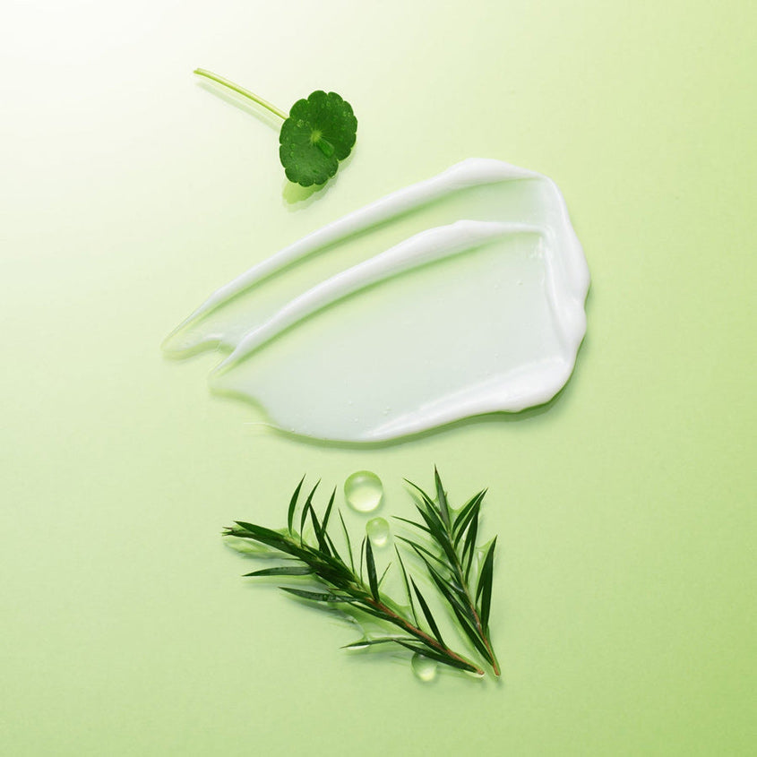 NATURE REPUBLIC GREEN DERMA TEA TREE CICA SOOTHING CREAM 100ML – buy online