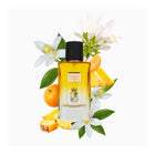 PARELLI Eau De Parfum New Voyage, 50 ml – توصيل مجاني