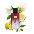 PARELLI Eau De Parfum Wild Spirit, 50 ml – شراء أونلاين