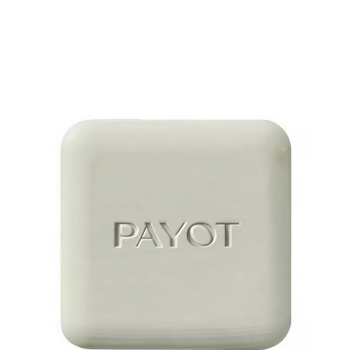PATE GRISE PAIN NETTOYANT PURIFIANT 65G