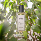 CLOUD NINE EDP 100 ML