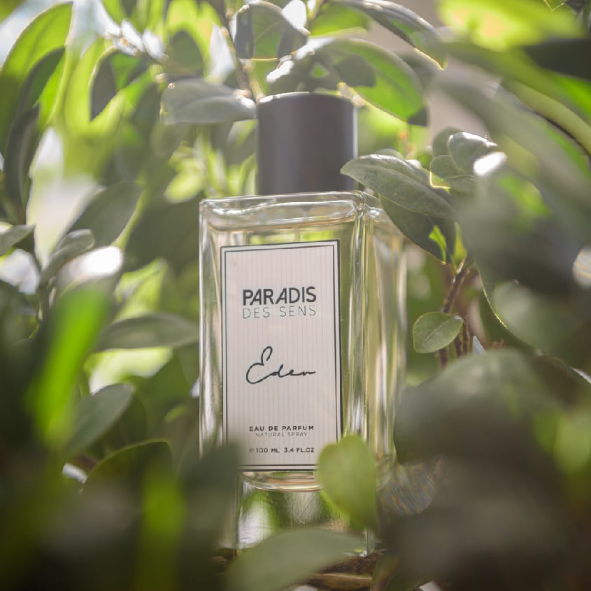 EDEN EDP 100 ML