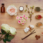 PH FRAGRANCES MAGNOLIA & PEONY OF SILK EDP 15 ML – توصيل مجاني