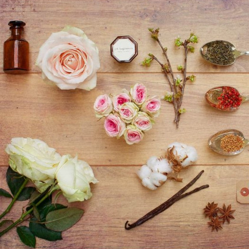PH FRAGRANCES MAGNOLIA & PEONY OF SILK EDP 15 ML – توصيل مجاني