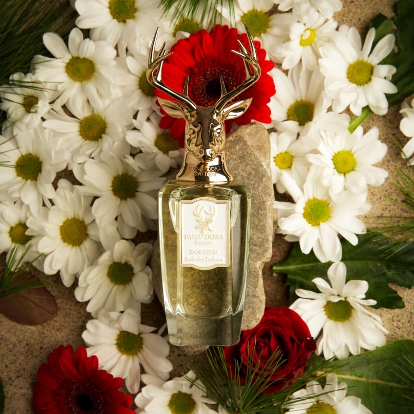 DORASIMA EDP 100 ML