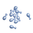Squalane Proud Pods