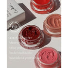 ERE PEREZ CHEEK LIP TINT CARROT COLOUR POT HOLY 6,5 G – photo 8