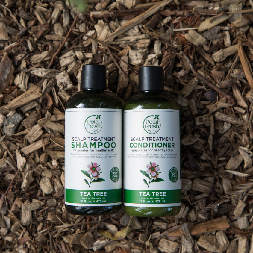 PETAL FRESH TEA TREE CONDITIONER 473 ML – شراء أونلاين
