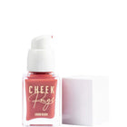 CHARACTER CHEEK ROUGE LIQUID BLUSH - CRB004 – photo 5