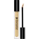 CHARACTER HD COVERAGE CONCEALER - PIC003