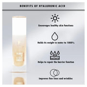 HAYALURONIC ACID HIGH COVERAGE FOUNDATION - HCF003