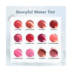 ROM&ND DEWYFUL WATER TINT 04 CHILI UP 5G
