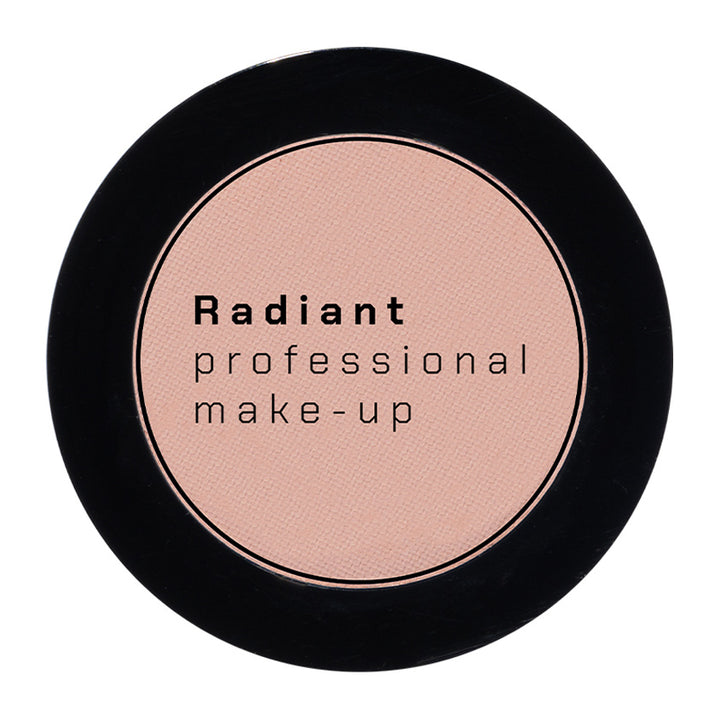 PROFESSIONAL EYE COLOR NO 291 4G