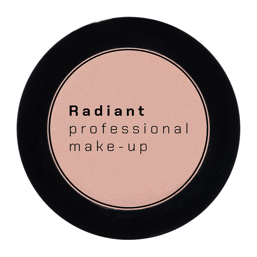 RADIANT PROFESSIONAL MAKEUP PROFESSIONAL EYE COLOR NO 291 4G – buy online