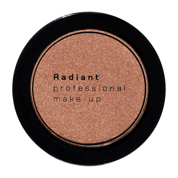 BLUSH COLOR NO 113 WINTER PLUM 4G