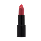RADIANT PROFESSIONAL MAKEUP ADVANCED CARE LIPSTICK MT204 4,5G