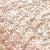 Dare to Divulge 10 g