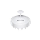 Scalp Brush In Cartoon