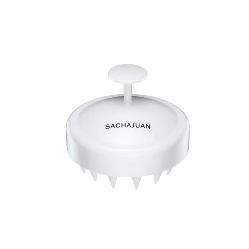 Scalp Brush In Cartoon