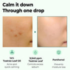 SOME BY MI 30 DAYS TEA TREE CLEAR SPOT OIL 10ML – online store