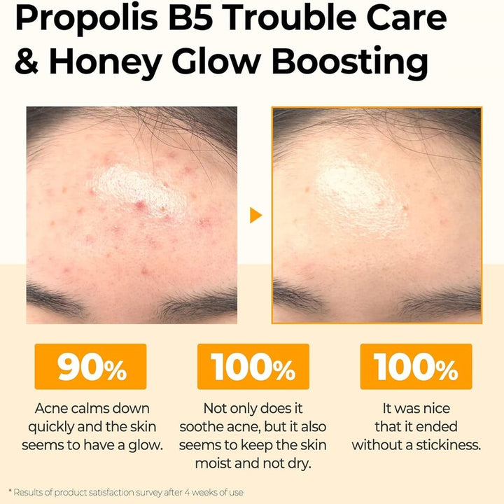 Propolis B5 Glow Barrier Calming Toner