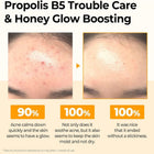 Propolis B5 Glow Barrier Calming Toner
