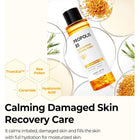 Propolis B5 Glow Barrier Calming Toner