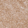 No. 01, 5 ml