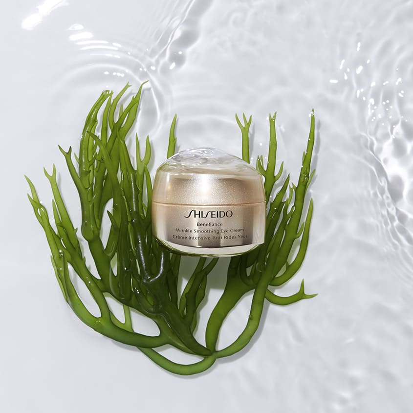 SHISEIDO BENEFIANCE WRINKLE SMOOTHING EYE CREAM 15 ML – صورة 5