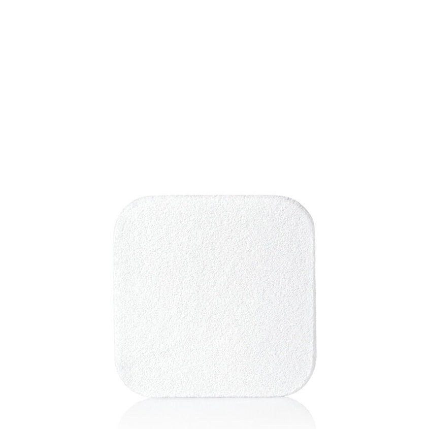 SHISEIDO SYNCHRO SKIN SELF-REFRESHING CF POWDER FD 510 9G – buy online