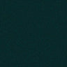 676 صديق غيور