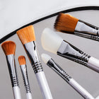 Scincare Brush Set
