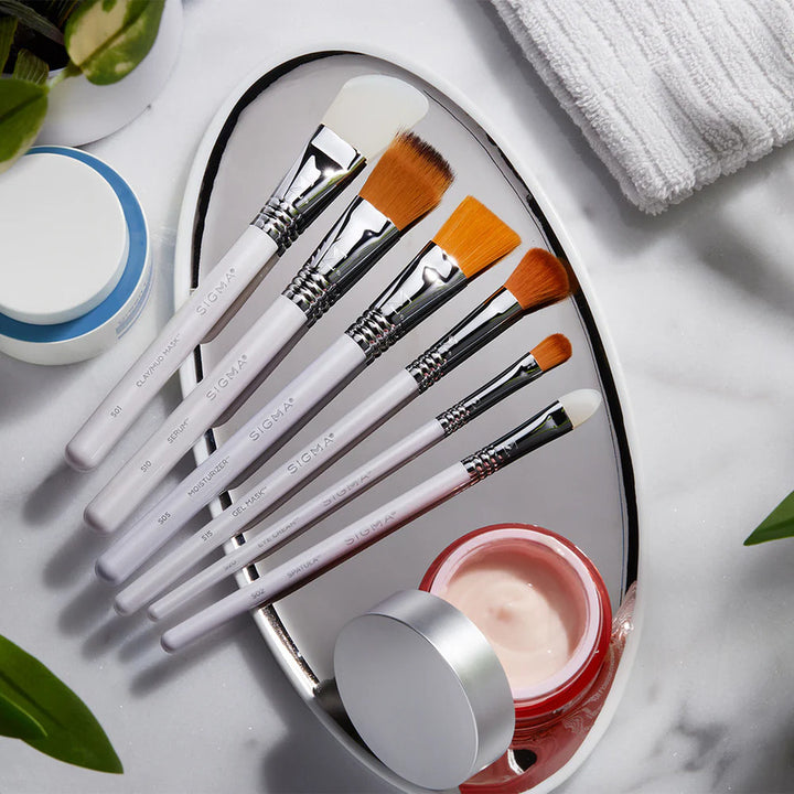 Scincare Brush Set