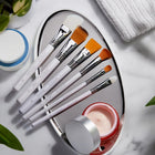 Scincare Brush Set