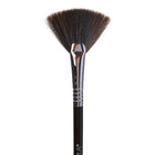 F42 Strobing Fan Brush