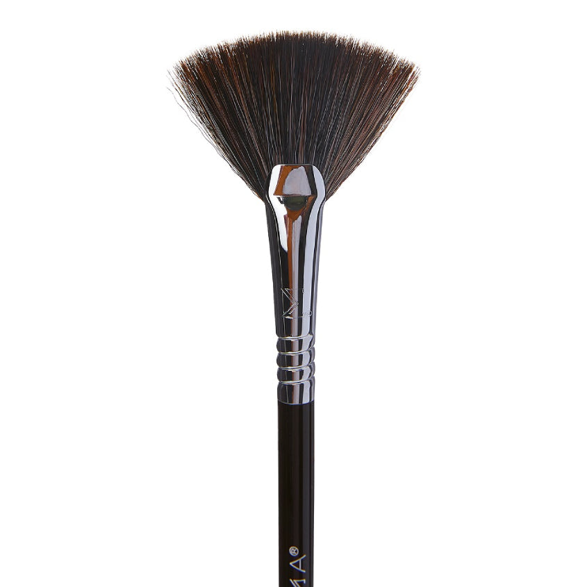 F42 Strobing Fan Brush