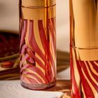 Le Phyto Gloss