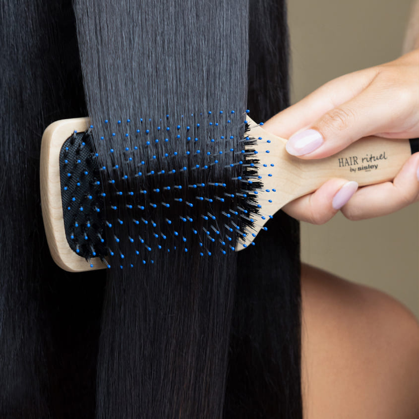 THE BRUSH