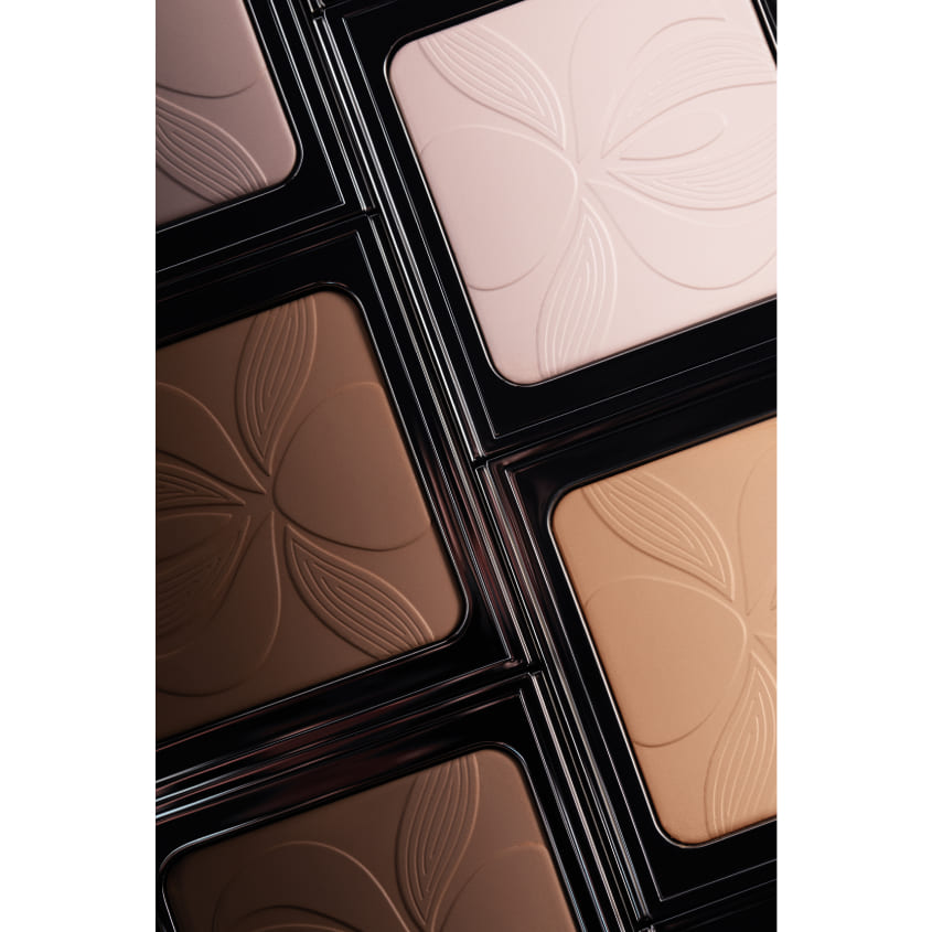 Blur Expert Smoothing Powder